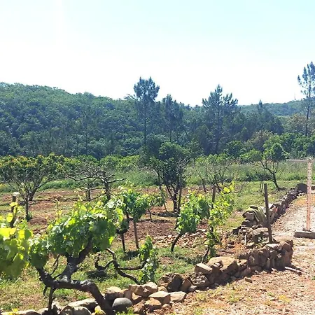 Casa Fronteiras * Aljezur