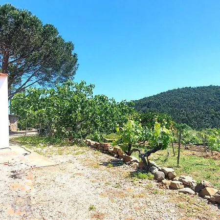 Vakantiehuis Casa Fronteiras