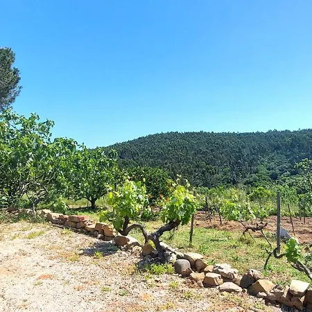 Casa Fronteiras בית נופש *