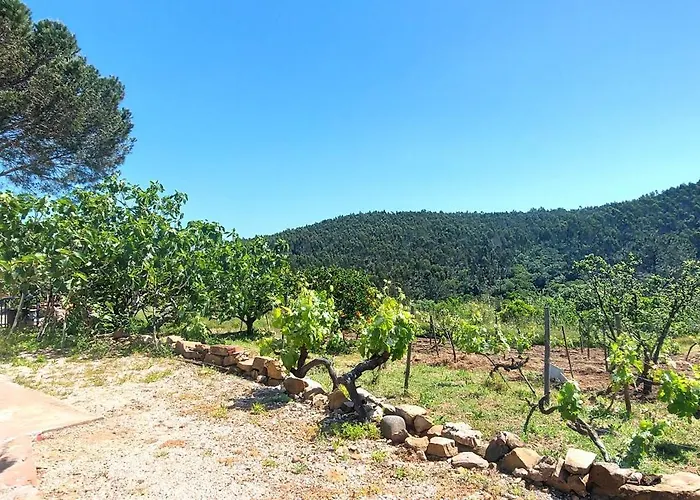 Casa Fronteiras 펜션 *