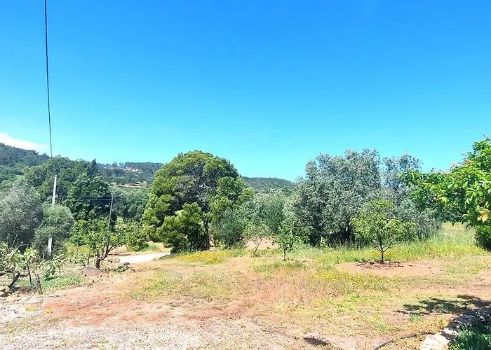 Casa Fronteiras 펜션